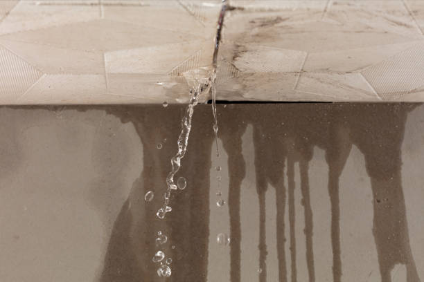 Professional Burst Pipe Cleanup technician working in Williams Bay, WI